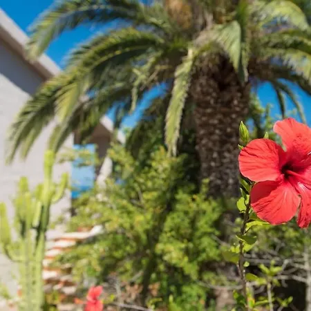 Casa A 100 Metri Dalla * Cala Liberotto