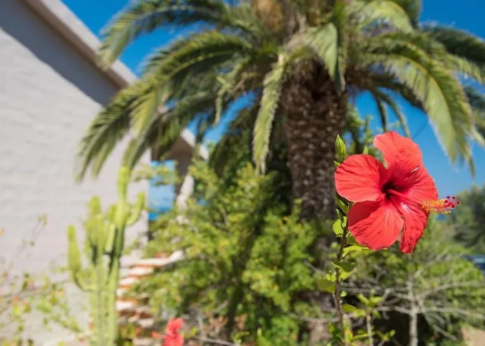 Casa A 100 Metri Dalla * Cala Liberotto
